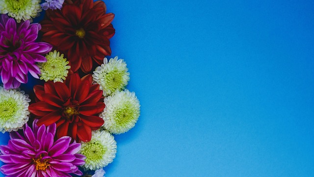 只要你有梦 只要你有梦