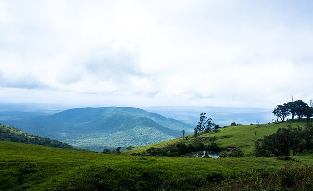 球队可以考 球队可以考