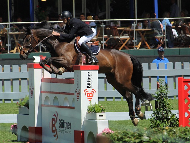 斯能力的认 斯能力的认