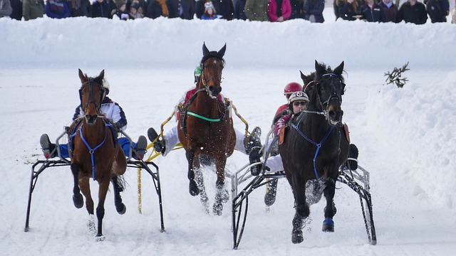 战斗力大增 战斗力大增