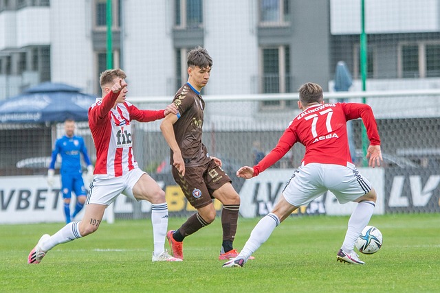 星的成长 星的成长