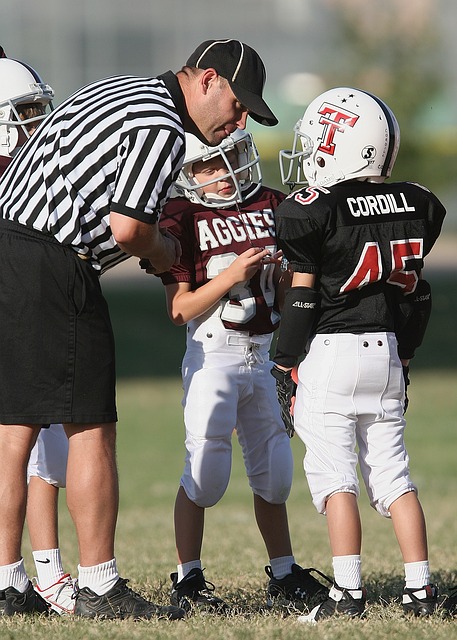 从而形成 从而形成