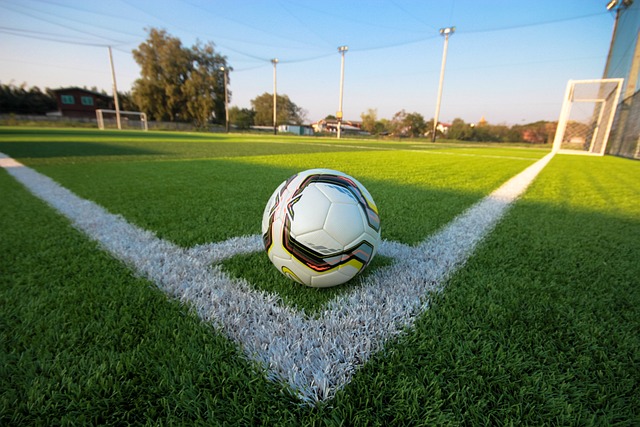 都在这种场